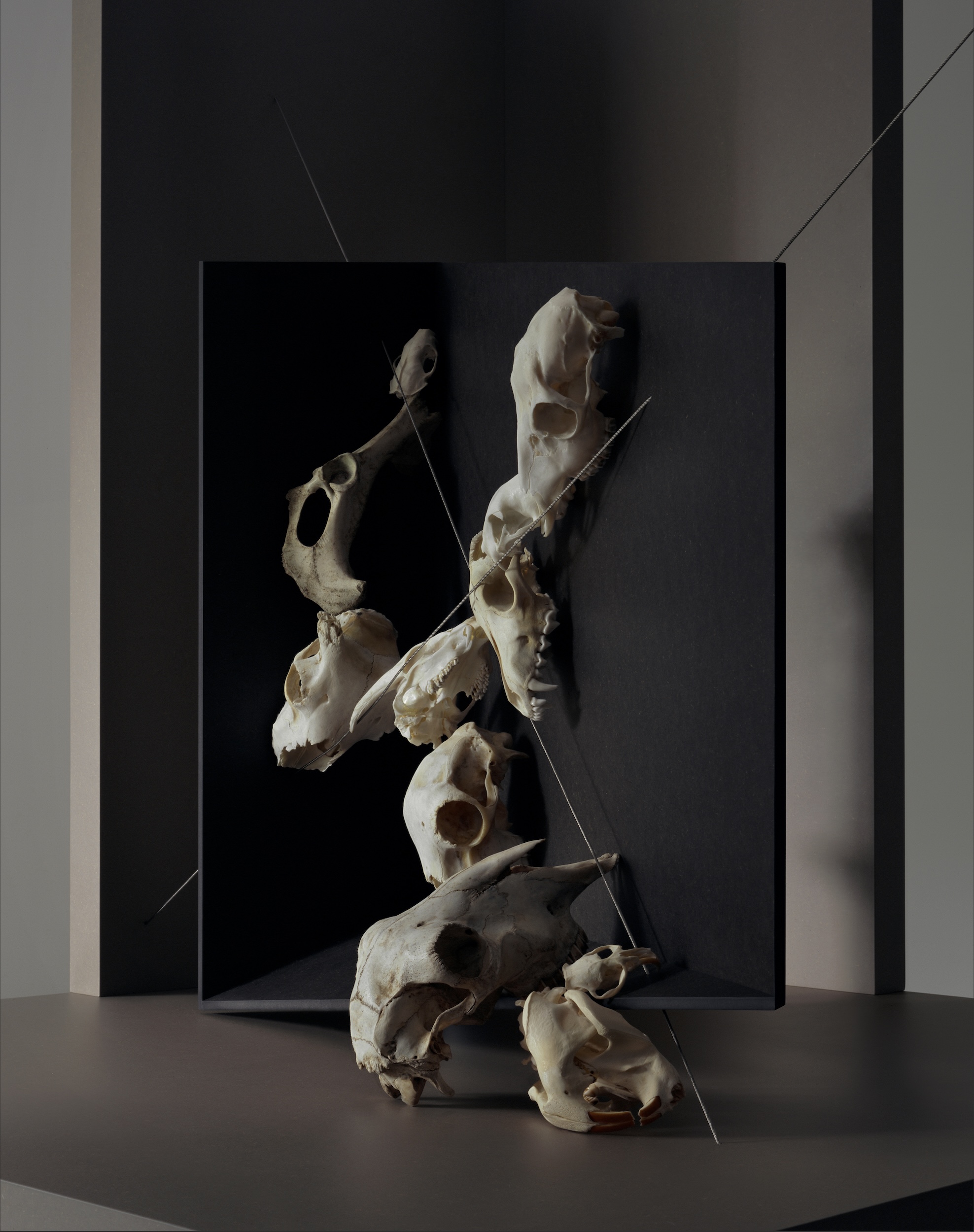 Perspective Boxes Skulls1 Front View