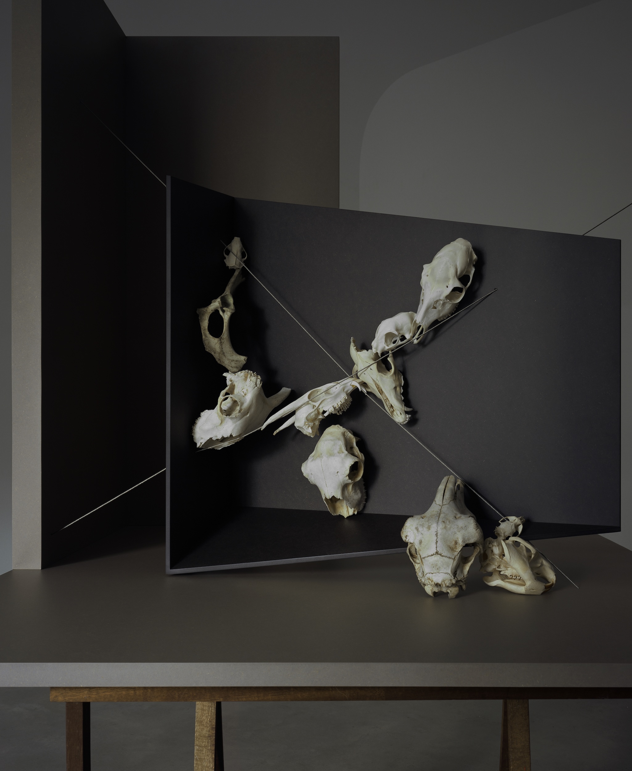 Perspective Boxes Skulls1 Side View