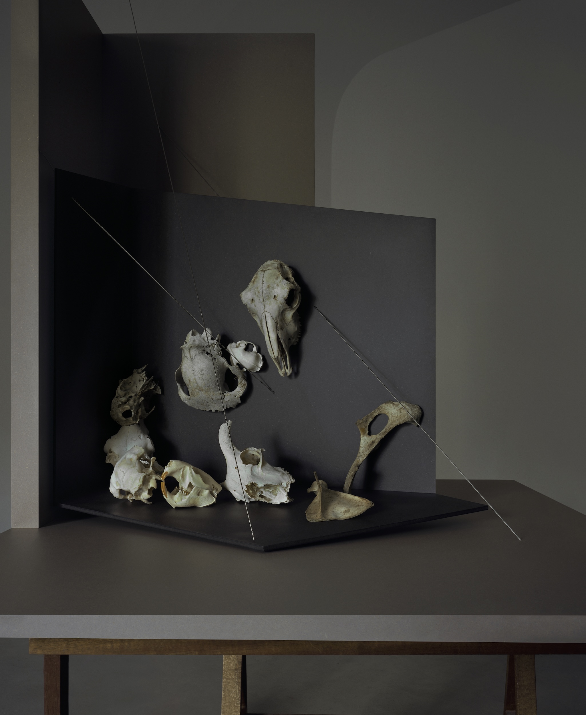 Perspective Boxes Skulls2 Side View