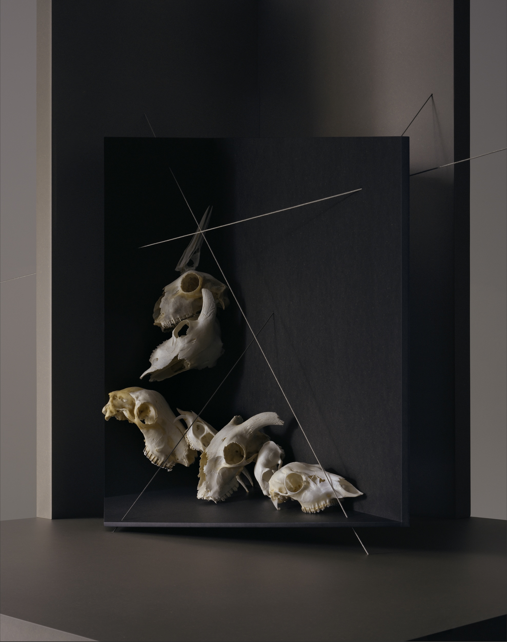 Perspective Boxes Skulls3 Front View